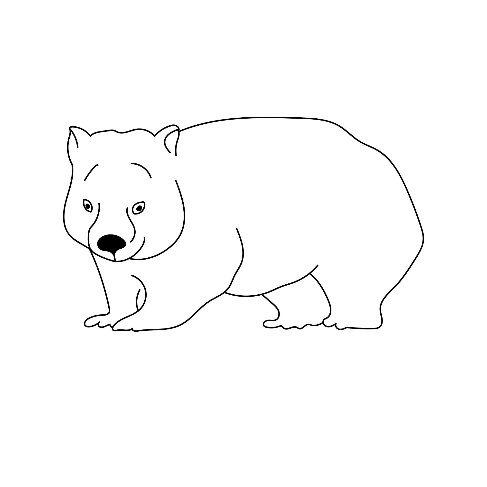 Premium vector wombat outline drawing of an australian animal coloring page