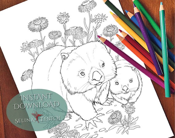 Wombat australian animals and wildflowers coloring pagedigi stamp fantasy printable download by selina fenech instant download