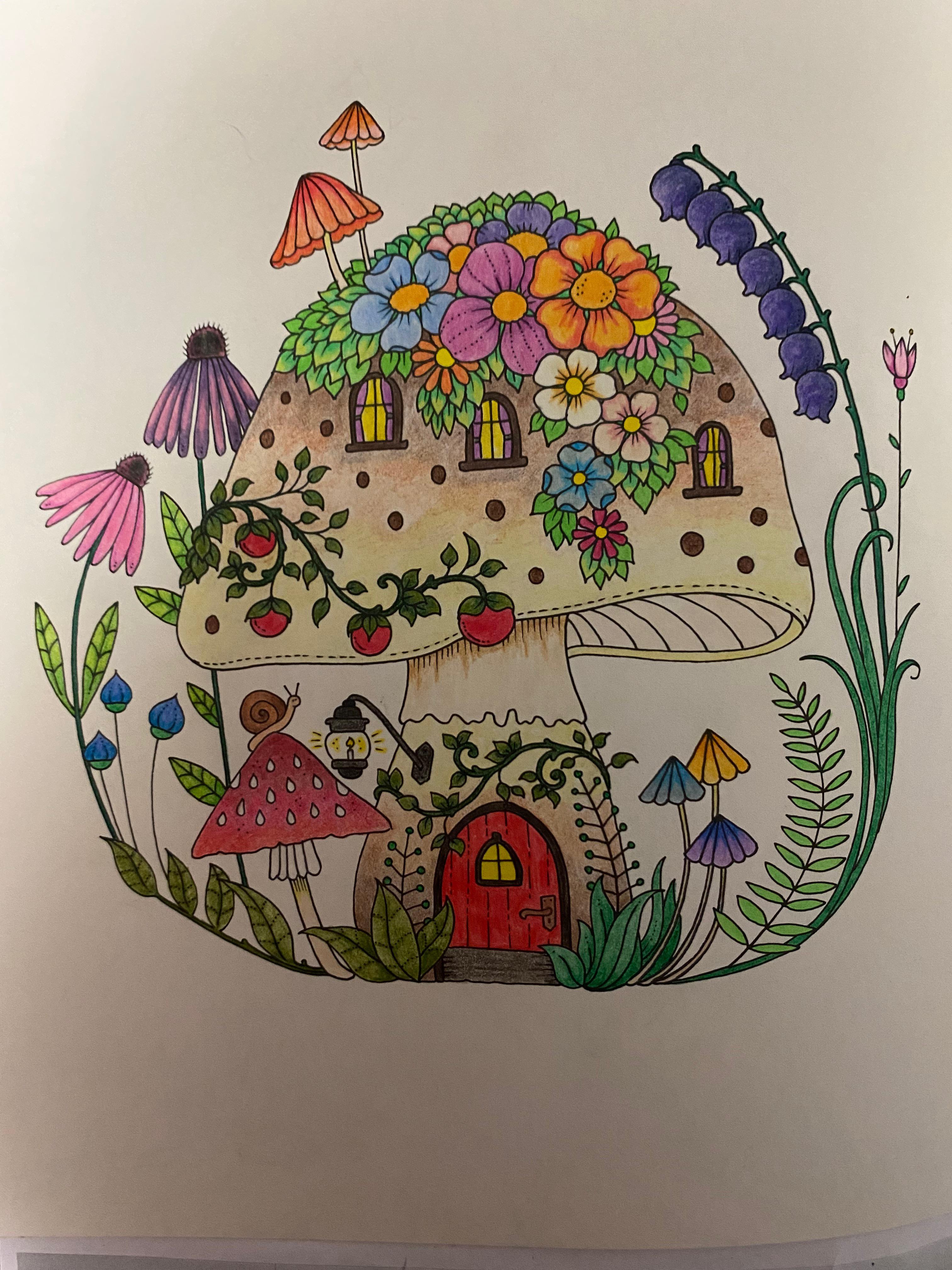 A mushroom abodeâ from johanna basfords worlds of wonder rcoloring