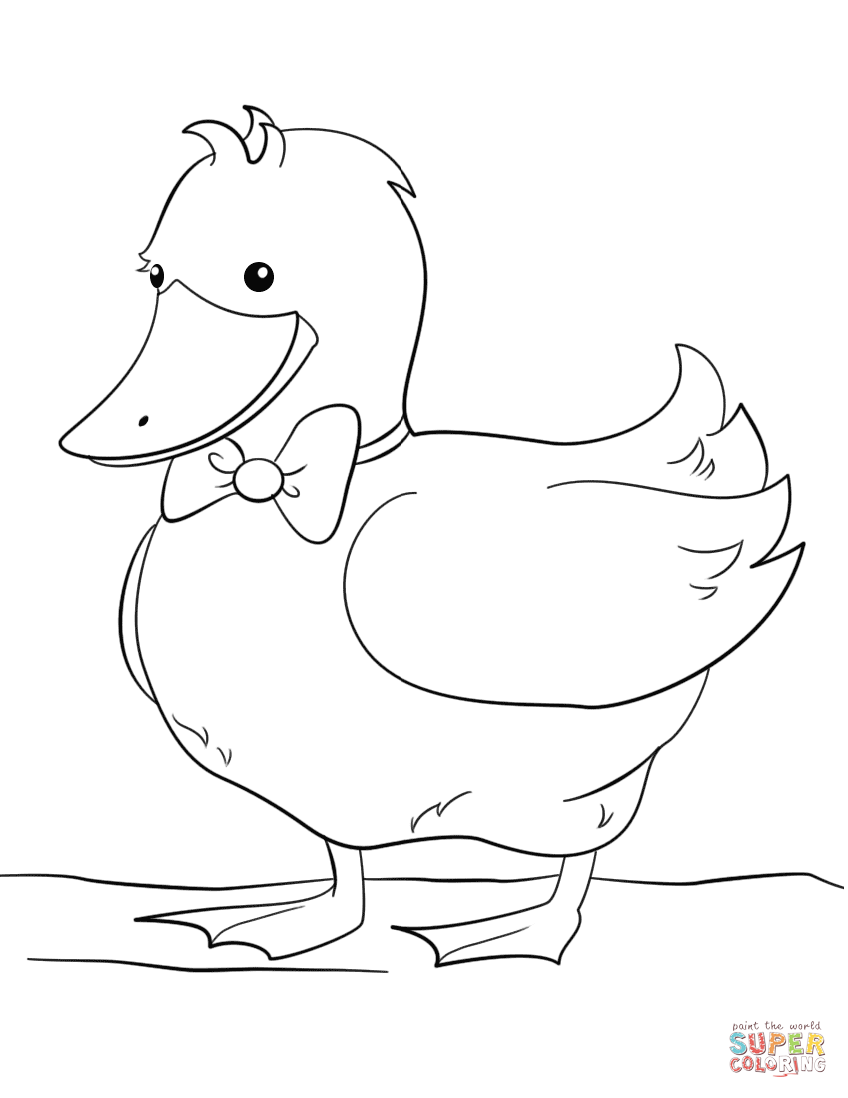 Cute cartoon duck wearing bow tie coloring page free printable coloring pages