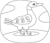 Ducks coloring pages free coloring pages