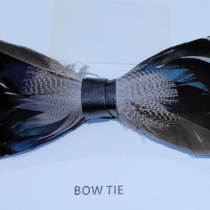 Duck feather bow tie