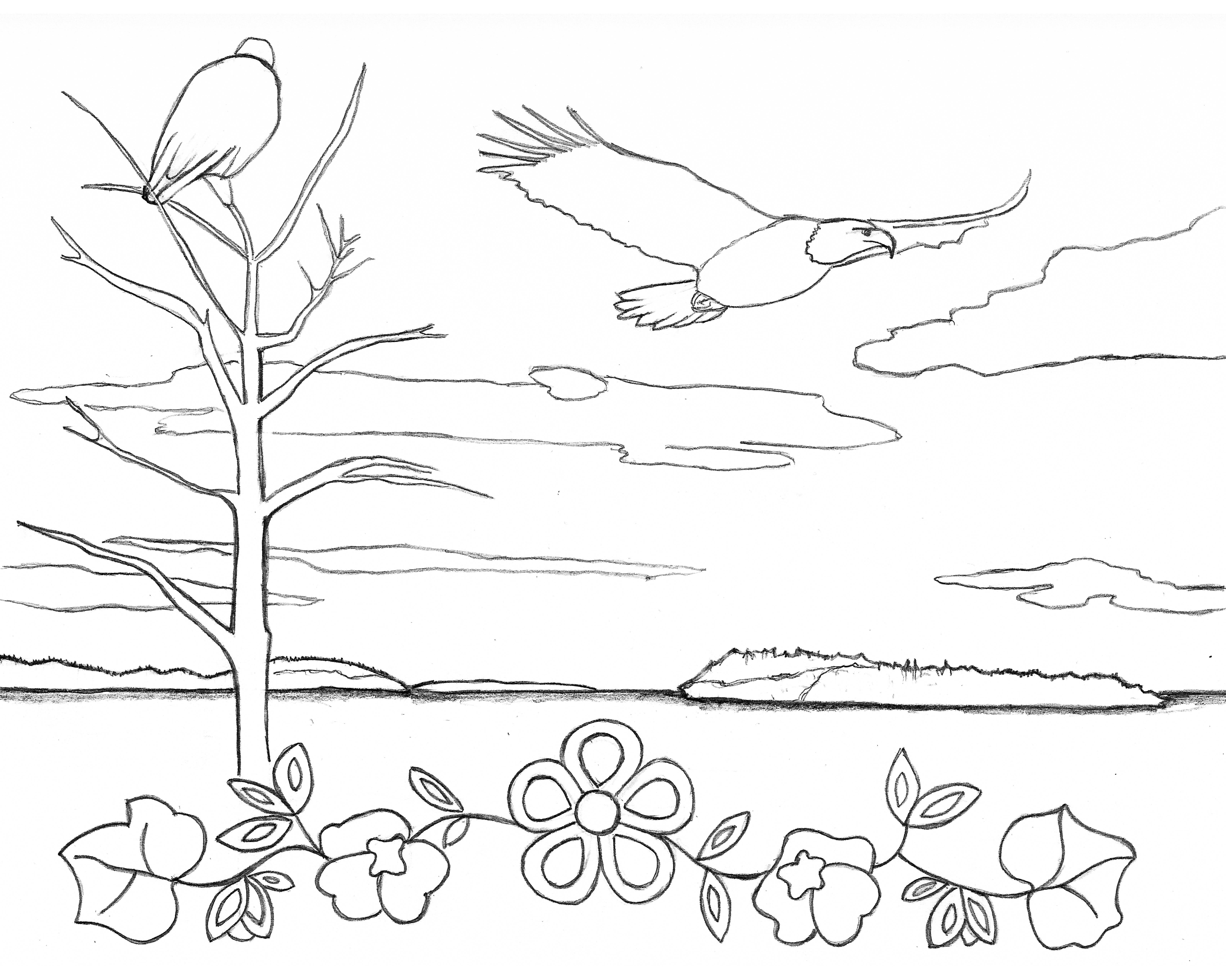 Coloring pages