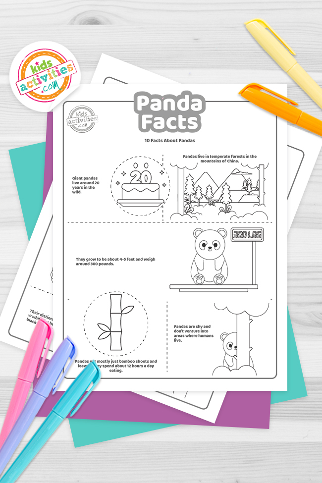 Fun panda facts for kids print and learn kids activities blog