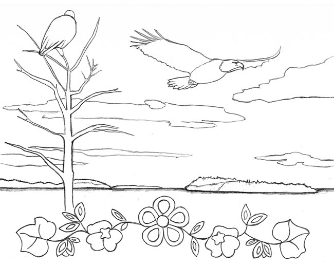 Coloring pages