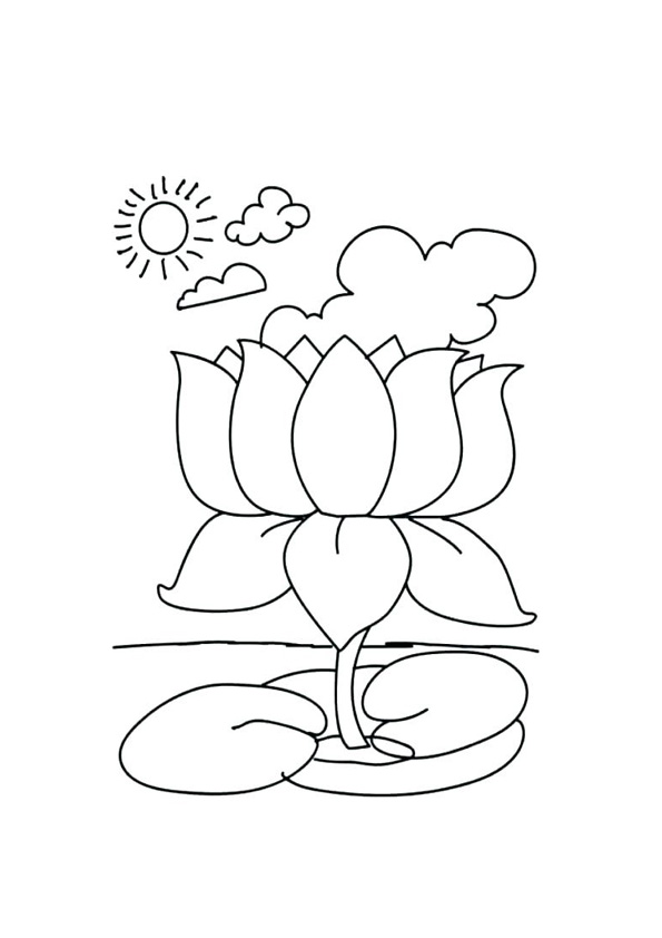 Coloring pages lotus in pound coloring pages