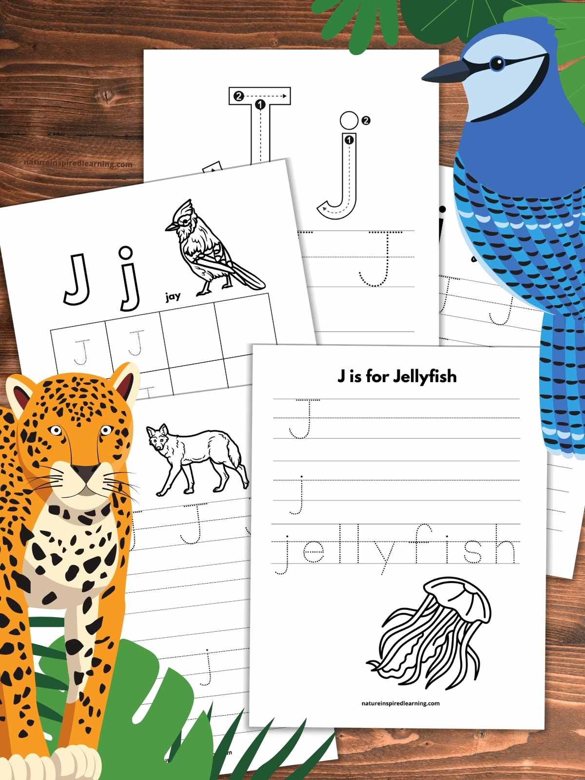 Letter j tracing worksheets free