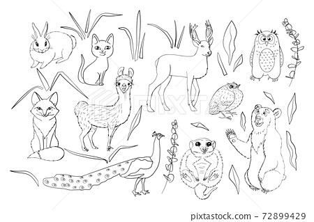 Kids coloring page with cute woodland animals