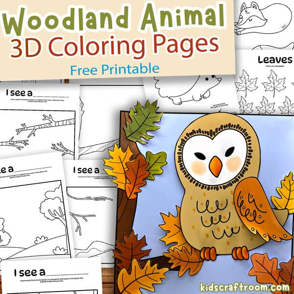 Free printable d woodland animal colouring pages