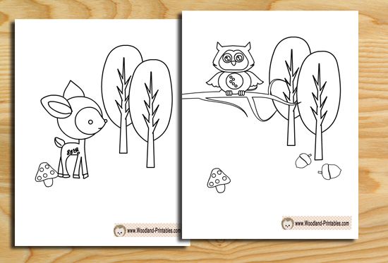 Free printable woodland animals coloring pages animal coloring pages woodland animals zoo animal coloring pages