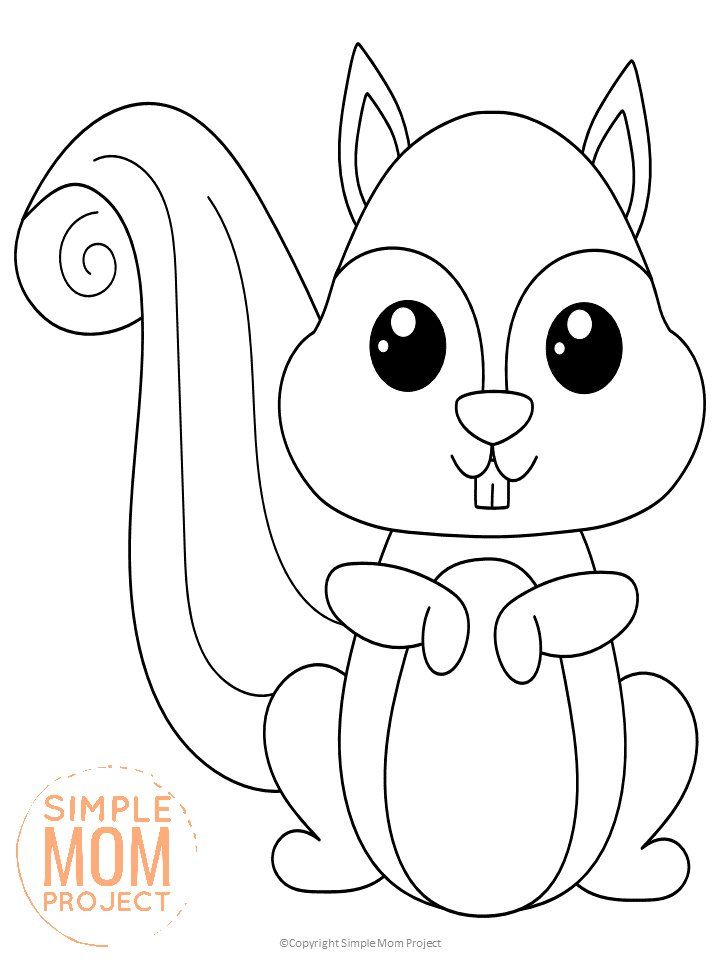 Free printable woodland squirrel template squirrel coloring page animal coloring books animal coloring pages