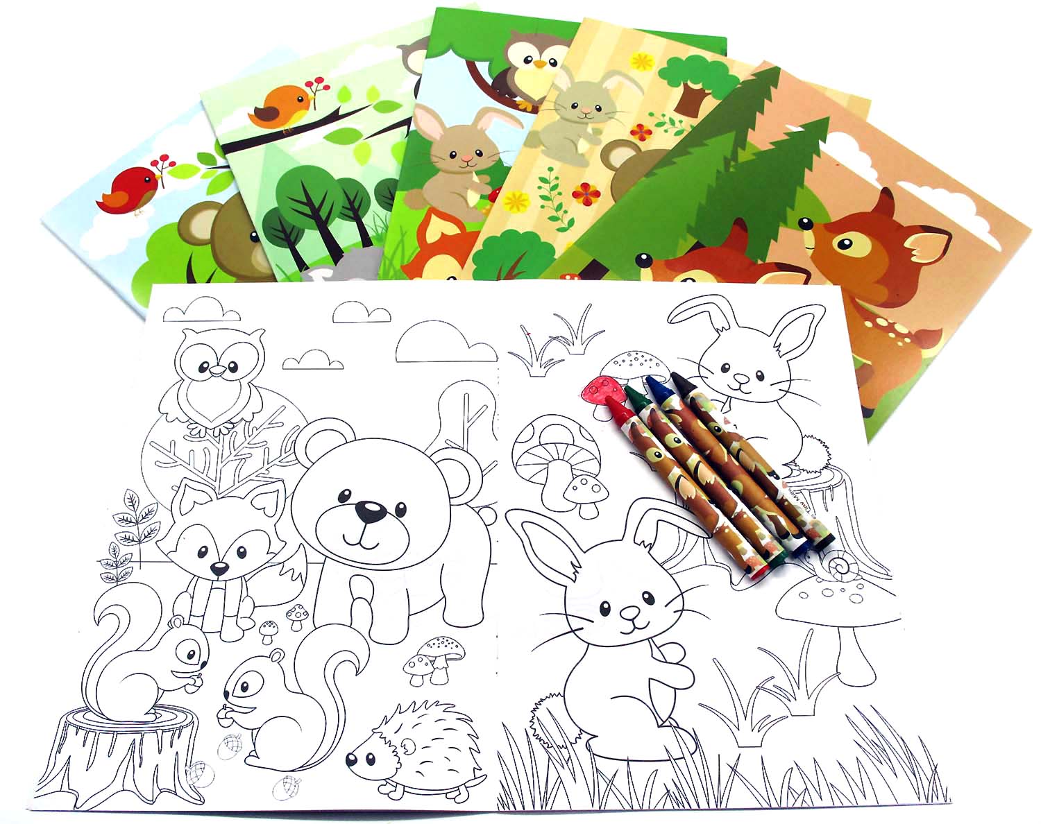 Woodland animals coloring books