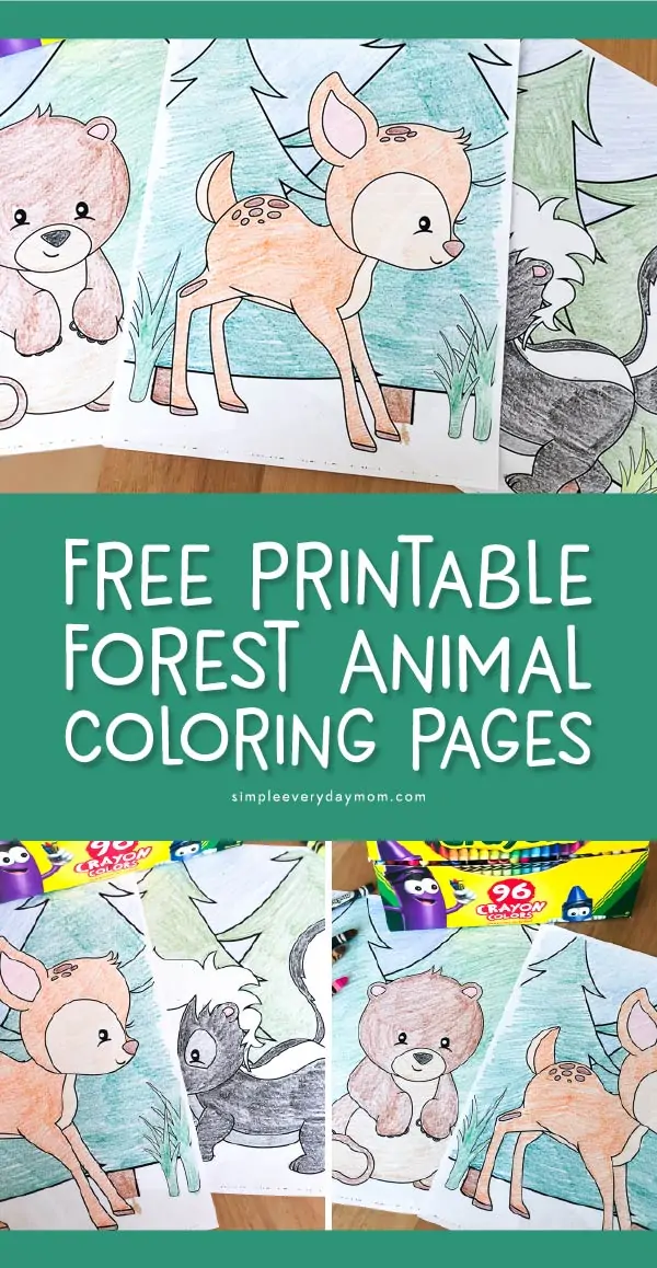 Free printable woodland animal coloring pages for kids