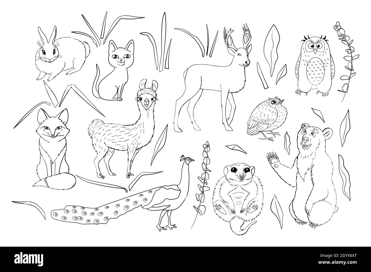 Kids coloring page with cute woodland animals set isolated on white background line art style stock vector image art