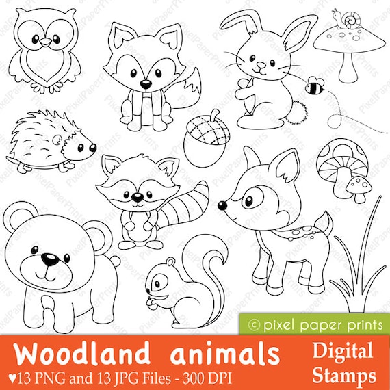 Woodland animals digital stamps forest animals line art for coloring pages worksheets crafts more png and jpg printable