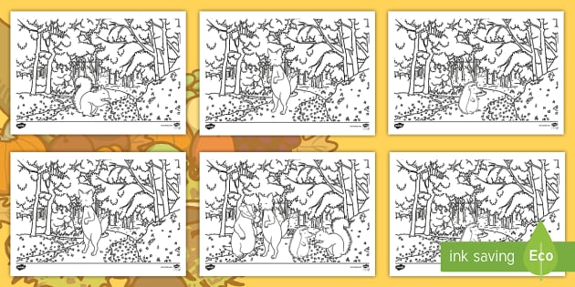 Woodland animal colouring pages teacher