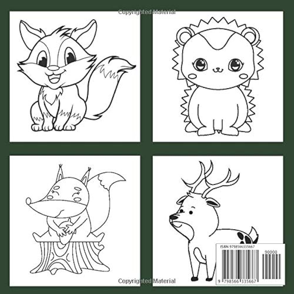 Woodland animals coloring book forest animals coloring pages for kids who love cute creatures gift for children with foxes rabbits beavers wolves and many more barrys osr books