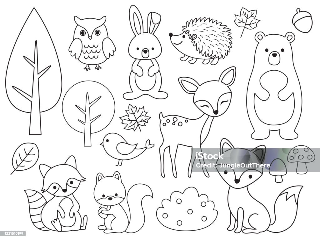 Vector line set of woodland animals outline for coloring stock illustration