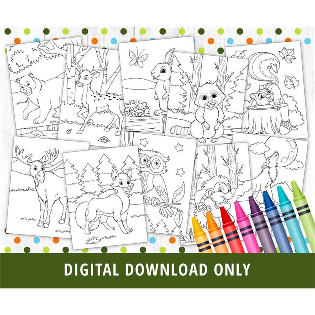 Woodland forest animals coloring pages woodland animals col