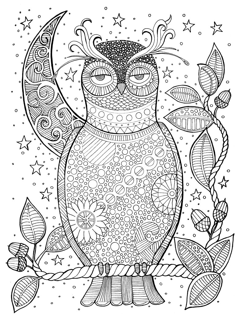 Soul of the woodland a stress relieving adult coloring book celebration edition