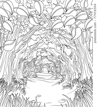 Woodland forest trees path coloring book scene