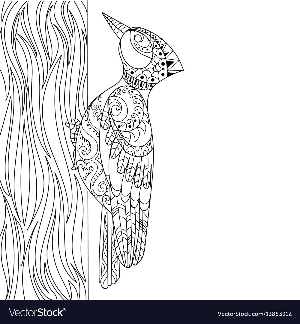 Woodpecker coloring book royalty free vector image