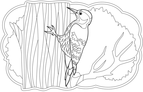 Woodpecker coloring page free printable coloring pages