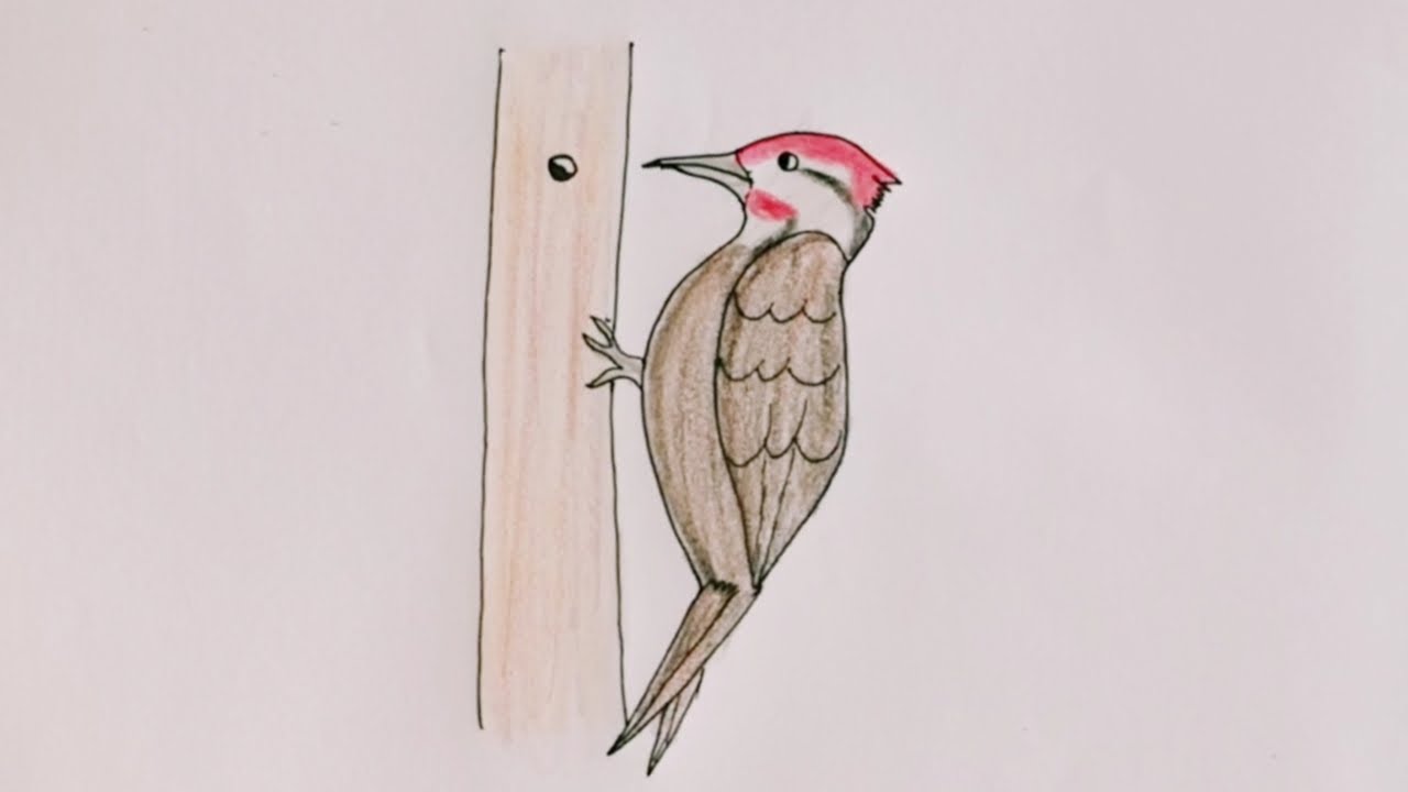 Woodpecker pages