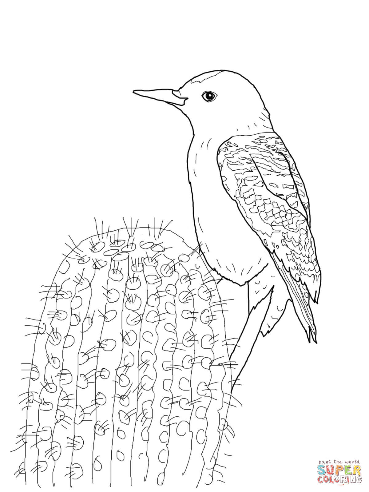 Gila woodpecker coloring page free printable coloring pages