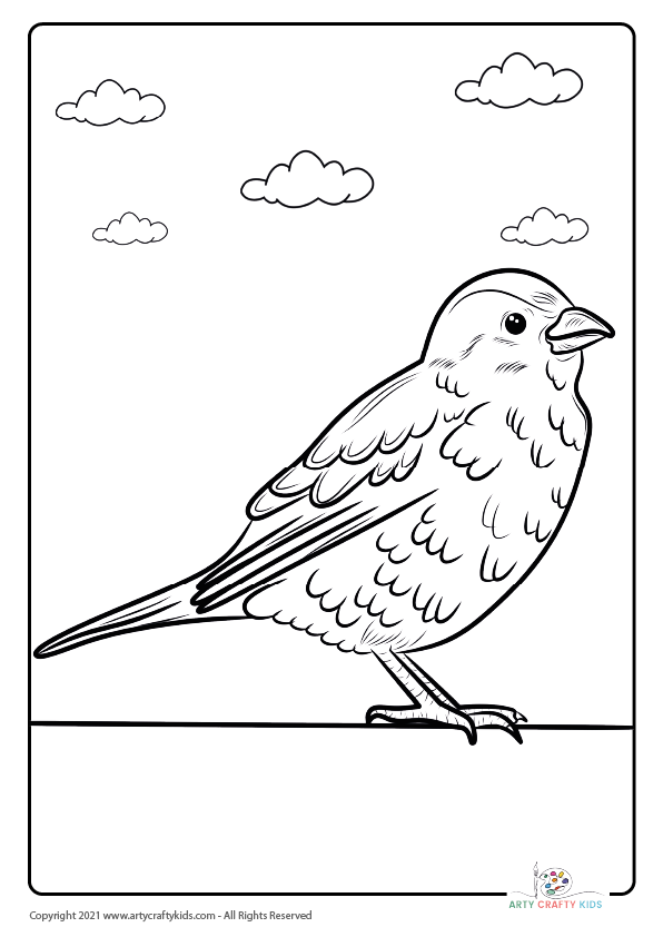 Bird coloring pages