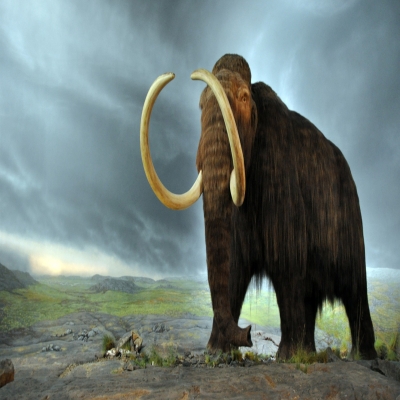 Download Free 100 + woolly mammoth Wallpapers