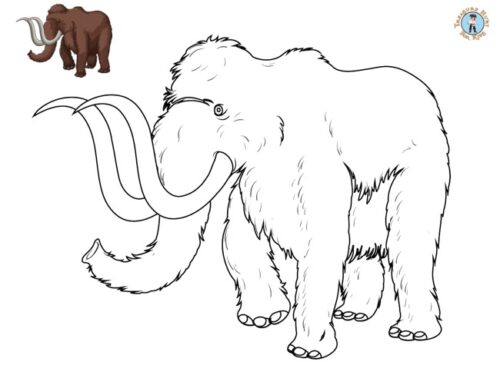 Animal coloring pages