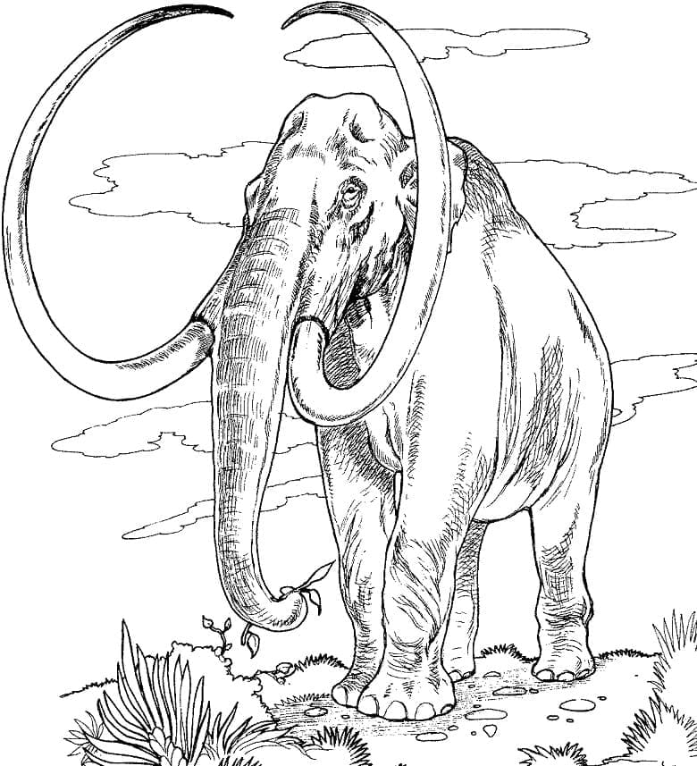 Realistic mammoth coloring page