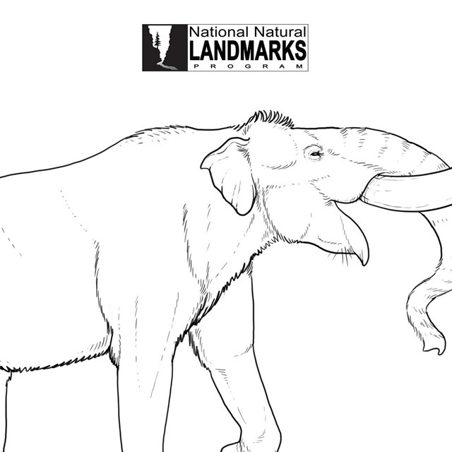 Nnl prehistoric life coloring pages us national park service