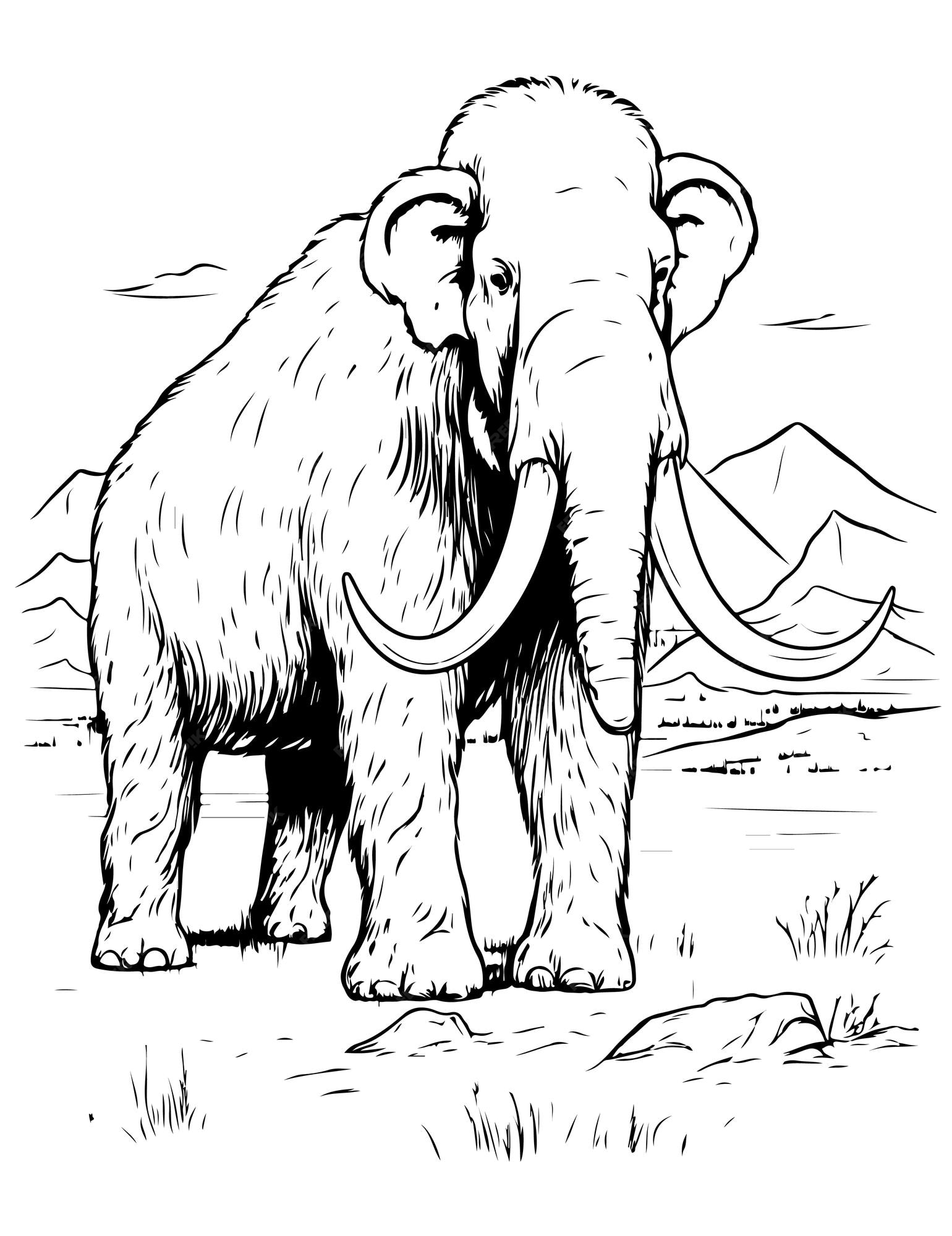 Premium vector mammoth coloring book drawing book for kiids ancient elephant mammoth drawing