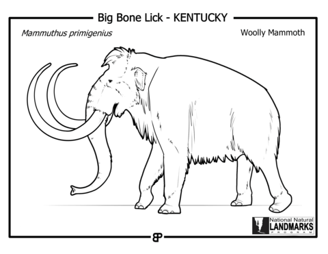 Woolly mammoth