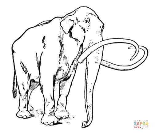 Wooly mammoth coloring page free printable coloring pages