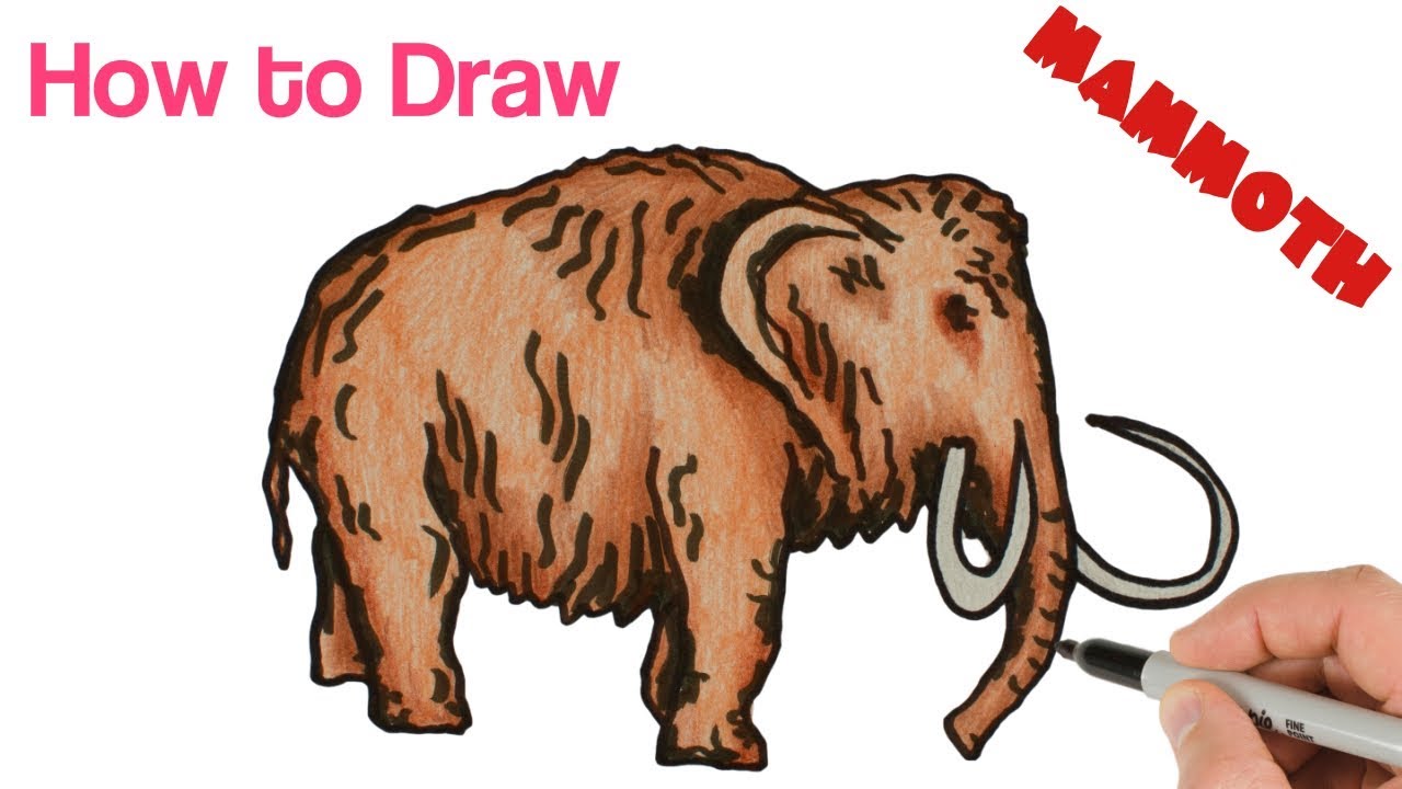 How to draw a aoth easy drawing and coloring