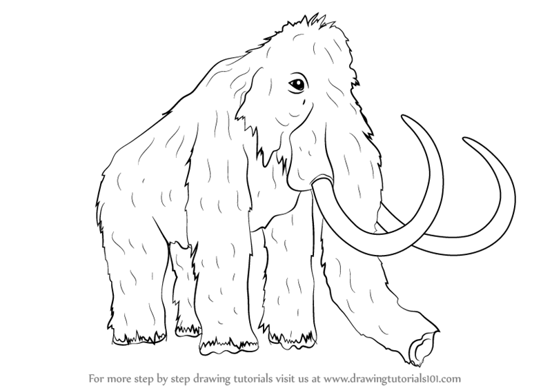 How to draw a woolly mammoth other animals step by step