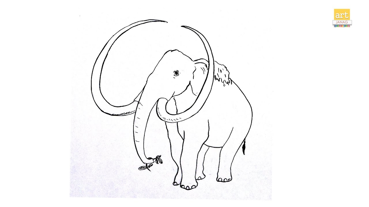 How to draw mammoth elephant drawing ii elephant drawing ii artjanag