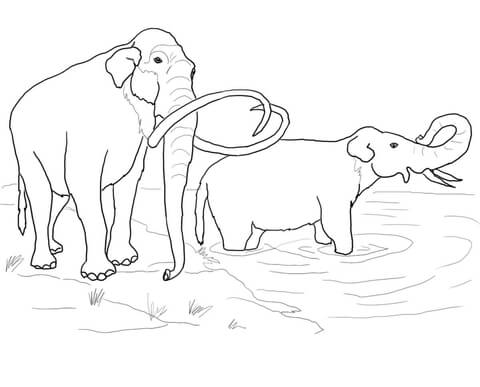 Columbian mammoth coloring page free printable coloring pages