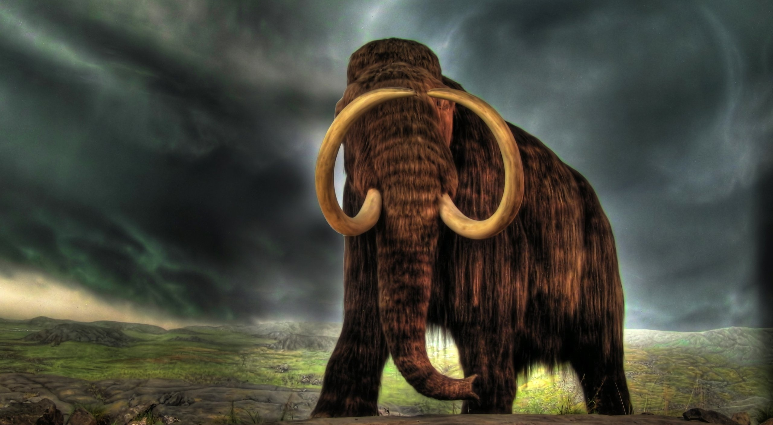 Mammoth hd papers and backgrounds