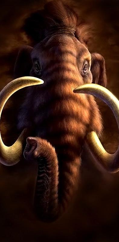 Download Free 100 + wooly mammoth wallpaper