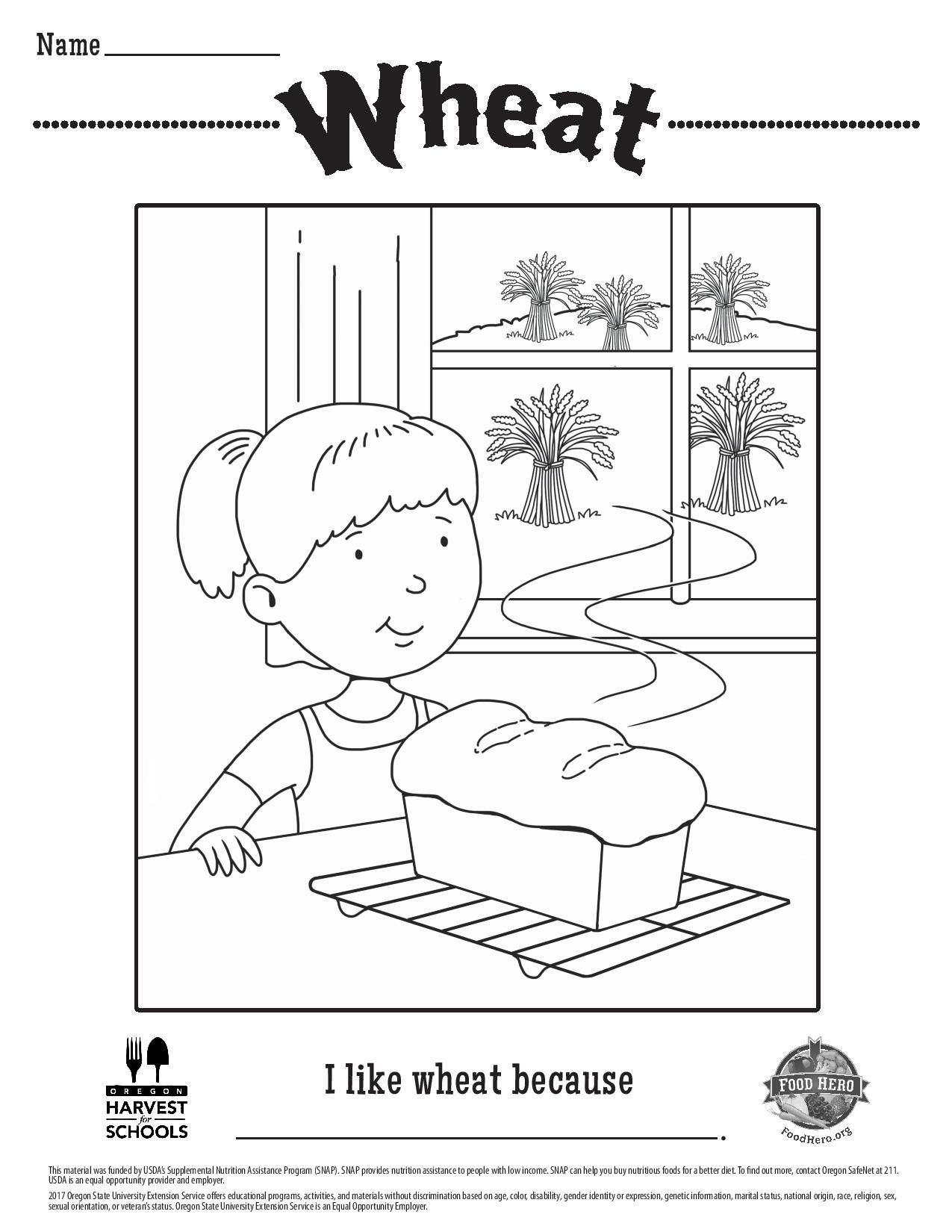 Whole grains coloring sheets coloring pages wheat