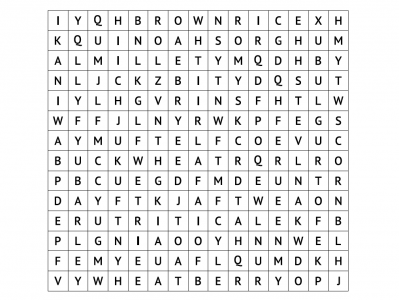 Whole grains word search