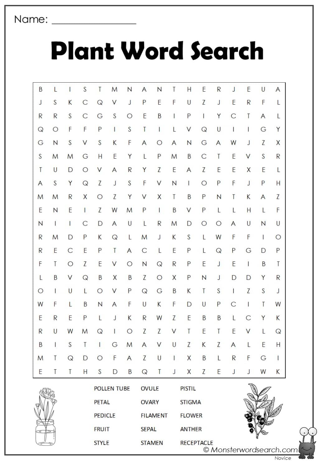 Plant word search