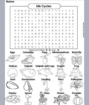 Plant word search tpt