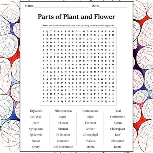 Parts of plant and flower word search puzzle worksheet activity