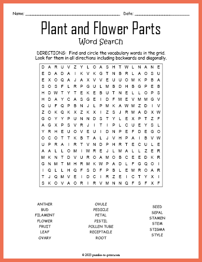 Plant and flower parts word search