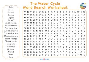 Printable water cycle word search